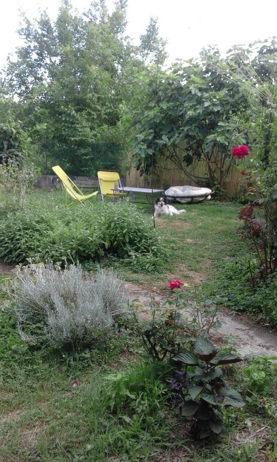 Le Jardin Du Controleur Homestay *